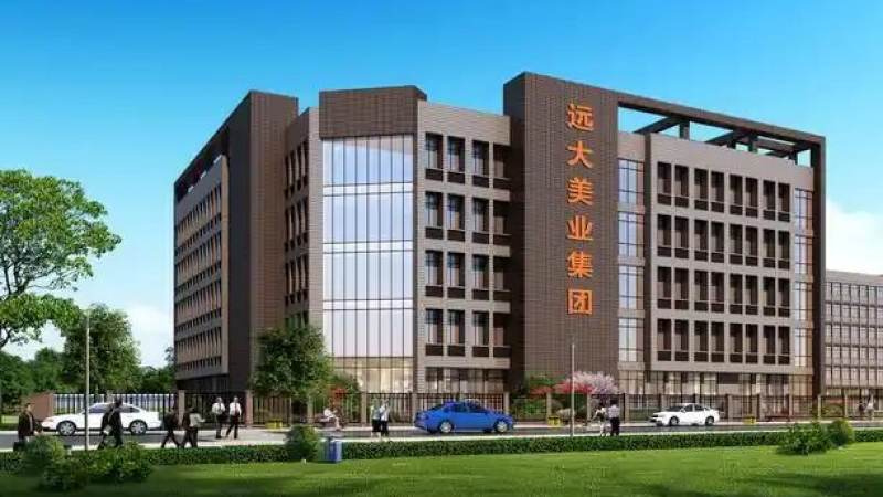电竞数据分析师日常到底在看什么指标？从微观操作到宏观趋势的完整拆解